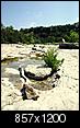 Pictures of Austin -- not touristy-bartoncreek05.jpg