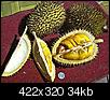 Tropical Fruit-durian.jpg