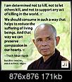 Should Buddhists eat meat?-68466943_10157623016258769_1609701399774363648_n.jpg