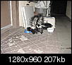 Cats out back (now w/ night vision pics)-skunks.jpg