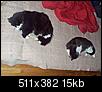 Maine Coon Cats-muffins-nero.jpg