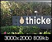 Thickett Apartments-thickett-010.jpg