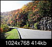 Fall Color Photos-curve2.jpg