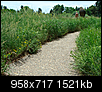 Denver Botanical Gardens -- PHOTO TOUR-screen-shot-2010-07-25-6.33.05