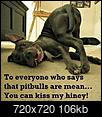 For some, hearing the breed Pit Bull brings on a knee jerk reaction...-kiss-my-hiney.jpg