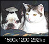Pet Picture gallery-max-n-clyde-up-close2.jpg