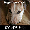 Pet Picture gallery-hny.jpg