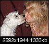 Anyone have Westie puppies/dogs?-dscf4103.jpg