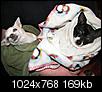 New chihuahua fosters-049.jpg