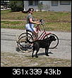 how far does your dog run w/ you-bike-pics-025.jpg