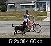 how far does your dog run w/ you-bike-pics-026.jpg