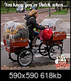 Moving to Netherlands-ultimatebikeefficiency.png