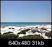 Do You Prefer the Gulf Coast Beaches or the Ocean Side Beaches in Florida-3001.jpg
