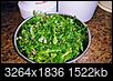 are dandelion greens safe to eat-img_20200410_130729320.jpg