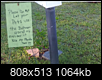 So what's the deal with the first 10 or so ft of your lawn from the road(in Cape Coral)?-twigs.png