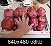 Potato boxes/towers-giant-red-potatoes.jpg