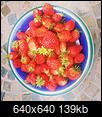 All Vegetable Gardening-strawberries.jpg