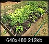 All Vegetable Gardening-b6bdf05b-187a-4615-b57d-fb5d3387d806.jpeg