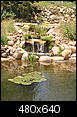 Does anyone have a koi pond or water garden?-waterfall7_07_07.jpg
