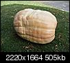 News, Good gourd! RI pumpkin tips scales at 1,661 lbs.-sdc12027.jpg