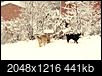 First Snow of December 2017-c360_2017-12-08-13-40-18