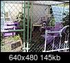 Life Alone Now...Day by Day...Life Beyond Loss-6-25-17-purple-kennel.jpg