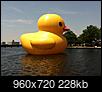 Has anyone seen "THE DUCK"....pictures?-037.jpg