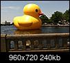 Has anyone seen "THE DUCK"....pictures?-036.jpg