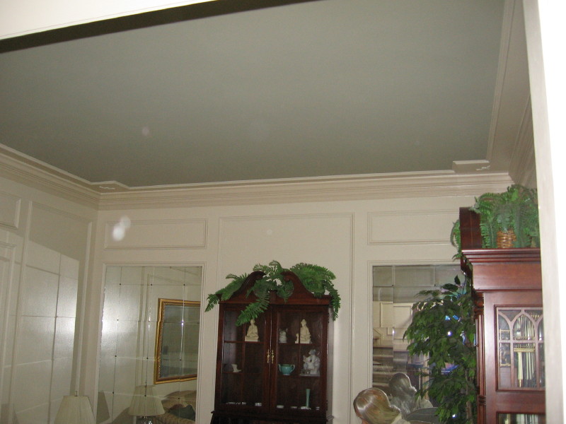 Painting Tray Ceiling A Different Color Panels Paint