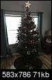 Holiday decorations - share your ideas, questions, and opinions!-tree1.jpg