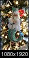 Did you put up any Christmas decorations yet?-fb_img_1576247793432.jpg