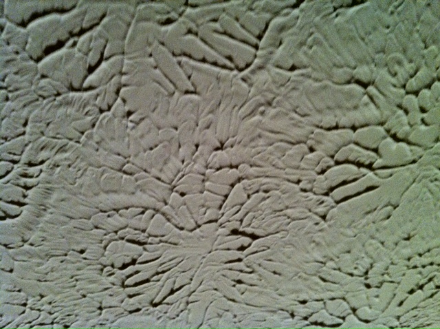 Ceiling Texture Patterns: Price Finder - Calibex