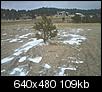 Septic leech field... built around existing tree-img_20130423_185126-small-.jpg