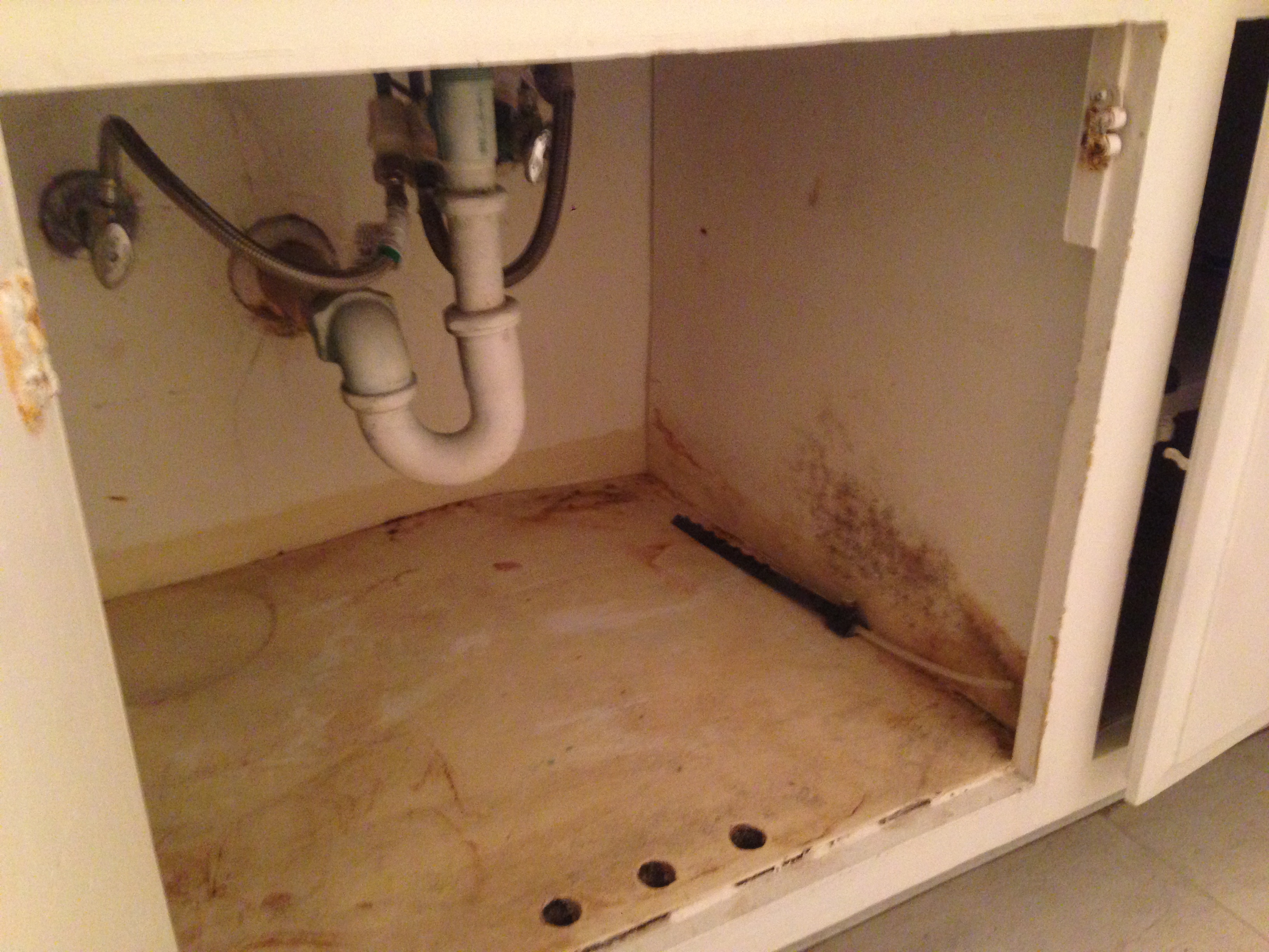 Mold In Bathroom Cabinet Floor Drain Color Cabinets House