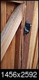 How to fix this broken wood door?-img_20150530_102129834.jpg
