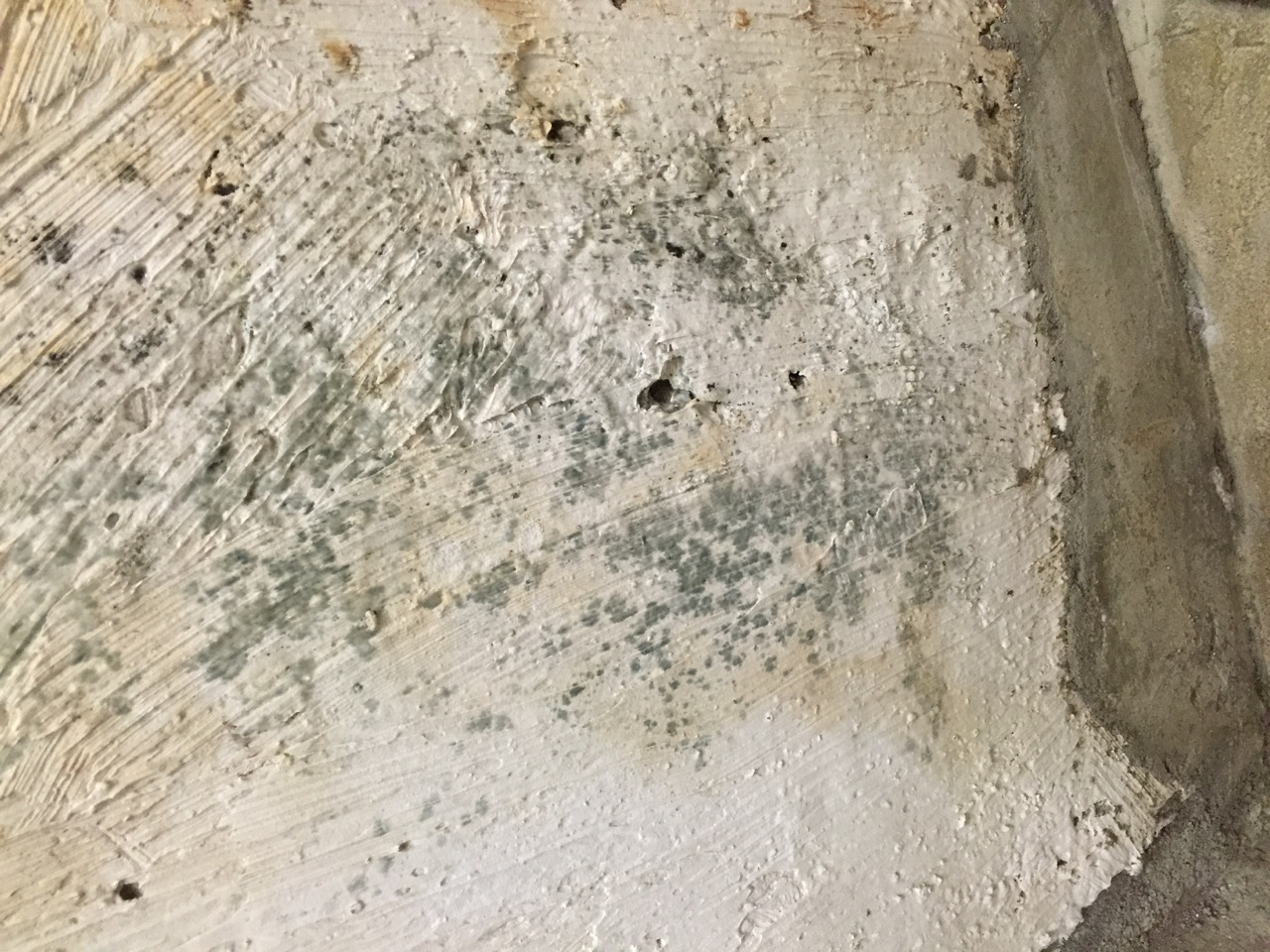 Concept 20 of Pictures Of Mold On Concrete Floor | waridcalltone