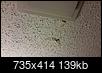 Bathroom ceiling problems-20161218_172635_resized.jpg