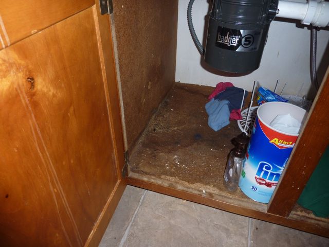 replace cabinet bottom under kitchen sink