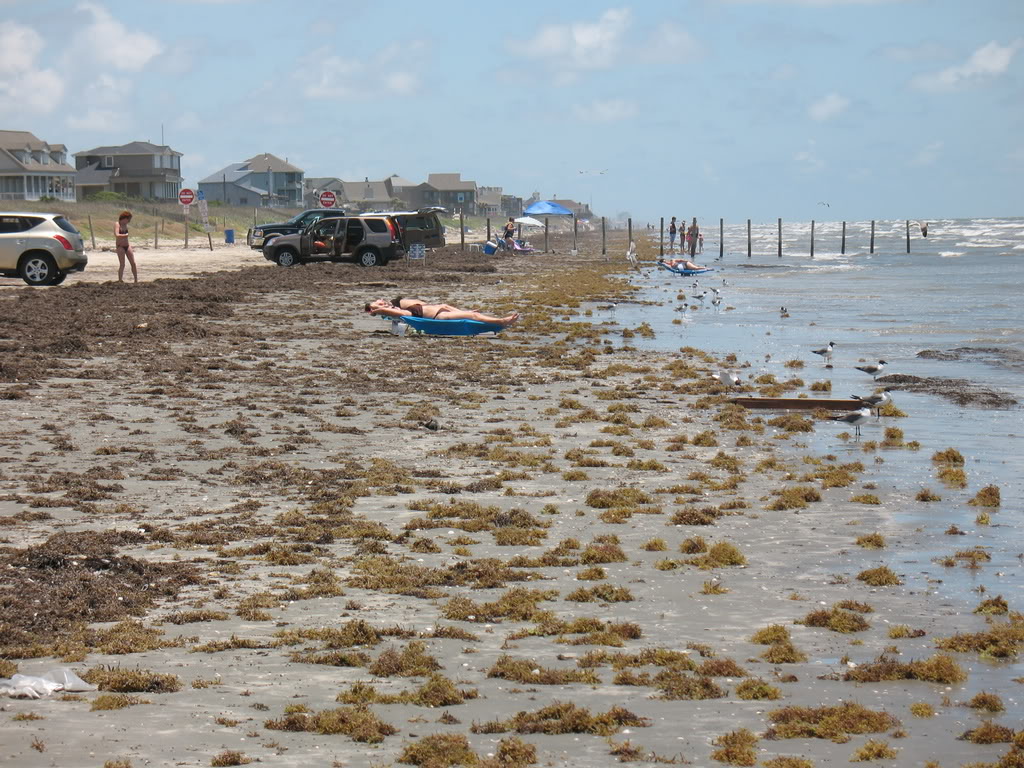which is the nicest galveston beach (Houston, Webster rich, land