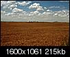 Photo Tour: Post one of your corner of Idaho....-wheat-field-twin-buttes-2007.jpg