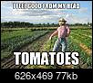 Are there any salad restaurants (e.g. Chop'd, Tossed) in Vegas?-feel-good-head-tomatoes.jpg