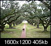 Pix of Louisiana-dscn3366.jpg