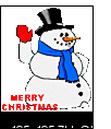Happy Holidays! Merry Christmas! Happy Hannukah! :0)-snowman05.gif