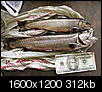 its time for ice fishing.-2009_0105winter20080064.jpg