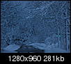 Winter Wonderland?-snow-093.jpg