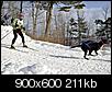 Photos of Maine-skijoring_02.jpg