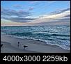 A picture thread for Miami-Dade-beach.jpg