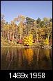 2011 Fall Colors Update-october-day-muskegon-river-2011-021r60.jpg