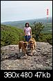 Favorite Critter Pics-schunnemunk-hike-dogs-may-07-046