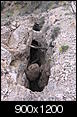 Abandoned Mines-organ-mountains-mine-shaft.jpg